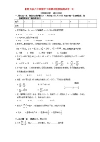 北师大版 八年级数学下学期期末模拟检测试卷4（含答案）