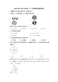 广东省深圳市光明区七年级下学期期末数学模拟试卷