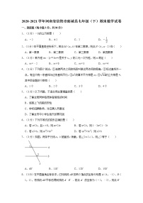 2020-2021学年河南省信阳市商城县七年级（下）期末数学试卷