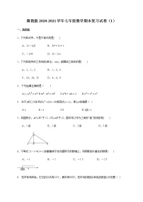 冀教版2020-2021学年七年级数学期末复习试卷（1）