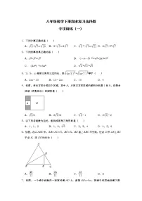 人教版八年级数学下册期末复习选择题专项训练(一)