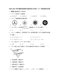 2020-2021学年湖南省邵阳市新邵县七年级（下）期末数学试卷