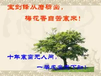 初中数学北师大版九年级上册6 应用一元二次方程复习课件ppt