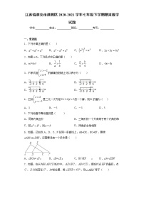 江苏省淮安市淮阴区2020-2021学年七年级下学期期末数学试题（word版 含答案）