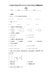 广东省广州市白云区2020-2021学年八年级上学期期末数学试题（word版 含答案）