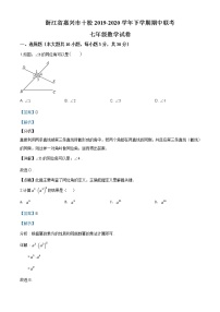 【校级联考】浙江省嘉兴市十校2019-2020学年七年级下学期期中联考数学试题（解析版）