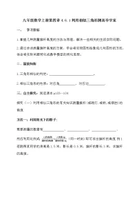 北师大版九年级上册6 利用相似三角形测高导学案