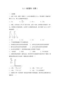 初中数学北师大版九年级上册1 投影习题