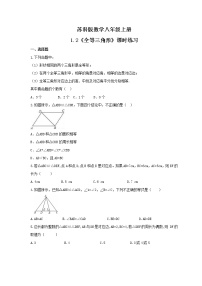 苏科版八年级上册1.2 全等三角形课后复习题