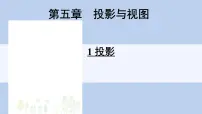 北师大版九年级上册1 投影图文ppt课件