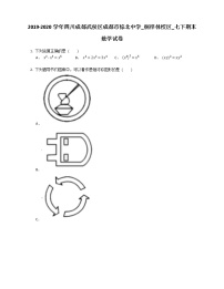 2019-2020学年四川成都武侯区成都市棕北中学_桐梓林校区_七下期末数学试卷