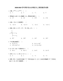 2018-2019学年四川乐山沙湾区七上期末数学试卷