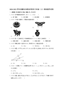 2020-2021学年安徽省合肥市庐阳区八年级（上）期末数学试卷