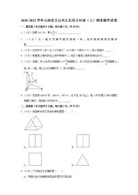 2020-2021学年云南省文山州丘北县九年级（上）期末数学试卷