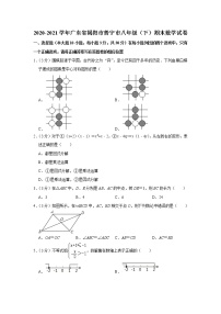 2020-2021学年广东省揭阳市普宁市八年级（下）期末数学试卷