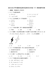 2020-2021学年湖南省岳阳市岳阳县七年级（下）期末数学试卷