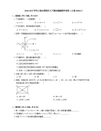 2018-2019学年上海市普陀区八下期末调研数学试卷