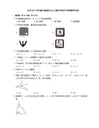 2018-2019学年浙江省温州市瑞安市八上期末数学试卷