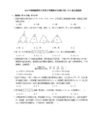 2019年浙教版数学八年级上学期期末专项复习卷（八）能力提高题