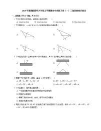 2019年浙教版数学八年级上学期期末专项复习卷（一）三角形的初步知识