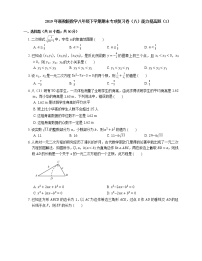 2019年浙教版数学八年级下学期期末专项复习卷（八）能力提高题（1）