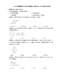 2019年浙教版数学八年级下学期期末专项复习卷（五）特殊平行四边形