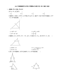 2019年浙教版数学九年级上学期期末专项复习卷（四）相似三角形