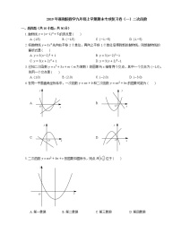 2019年浙教版数学九年级上学期期末专项复习卷（一）二次函数