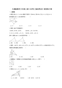 初中数学人教版八年级上册12.2 三角形全等的判定复习练习题