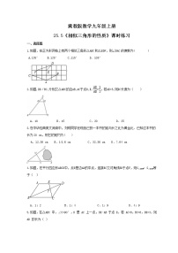初中数学冀教版九年级上册25.5 相似三角形的性质练习
