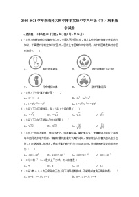 2020-2021学年湖南师大附中博才实验中学八年级（下）期末数学试卷