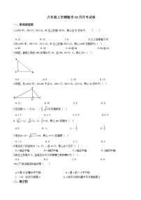 2020-2021年陕西省咸阳市八年级上学期数学10月月考试卷