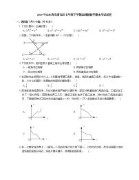 2019年山东青岛黄岛区七年级下学期北师版数学期末考试试卷