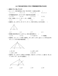 2019年浙江温州苍南县八年级上学期浙教版数学期末考试试卷