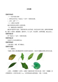 鲁教版 (五四制)六年级上册12 近似数教案