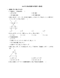 2019年上海市青浦区中考一模数学试卷（期末）