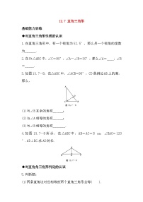 北京课改版12.7 直角三角形随堂练习题