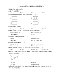 2019-2020学年广东省中山市八上期末数学试卷