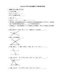 2018-2019学年上海市杨浦区七下期中数学试卷