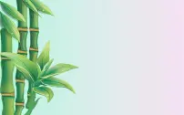 数学28.1 圆的概念和性质备课课件ppt