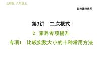 初中数学北师大版八年级上册6 实数习题课件ppt