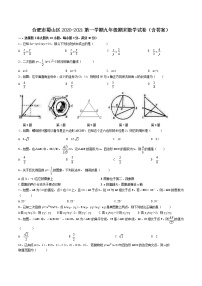 【9数】安徽合肥市蜀山区2020-2021学年九年级上册期末数学试卷（含答案）