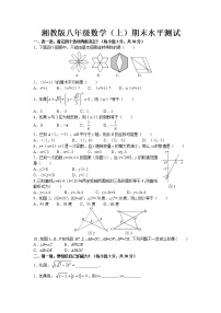 湘教版八年级上册期末数学试卷（含答案）