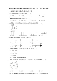 浙江省金华市义乌市2020-2021学年九年级上学期期末数学试卷（word版含答案）