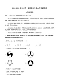 广东省江门市台山市2020-2021学年九年级上学期期末数学试题（word版含答案）