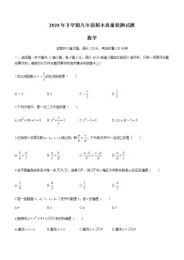 湖南省娄底市新化县2020-2021学年九年级上学期期末数学试题（word版含答案）