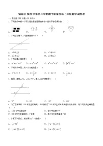 浙江省宁波市镇海区2020-2021学年七年级下学期期中数学试题（word版 含答案）