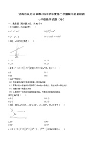 陕西省宝鸡市凤翔县2020-2021学年七年级下学期期中数学试题（word版 含答案）