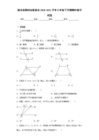 湖北省黄冈市蕲春县2020-2021学年七年级下学期期中数学试题(word版含答案)