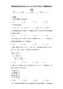 河南省信阳市罗山县2020-2021学年八年级下学期期末数学试题(word版含答案)